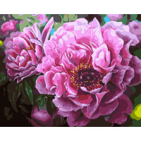 AS0356 Розмальовка за цифрами Садові півонії ArtStory AS0356 Розмальовка за цифрами Садові півонії ArtStory