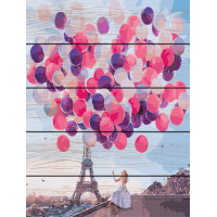 RA-GXT24910 Картина за номерами на дереві Париж у кулях