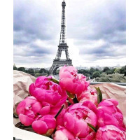 Алмазна живопис My Art Подорож до Франції (TN959, На підрамнику)