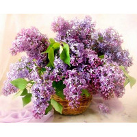 Алмазна вишивка My Art Бузок квіти літа (TN136, На підрамнику) Алмазна вишивка My Art Бузок квіти літа (TN136, На підрамнику)