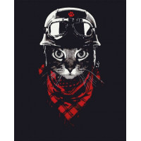 RB-0292 Картина за номерами Вперед! Riviera Blanca