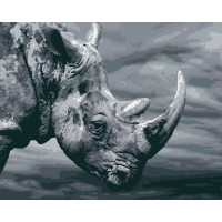 RB-0167 Картина за номерами Носоріг Riviera Blanca
