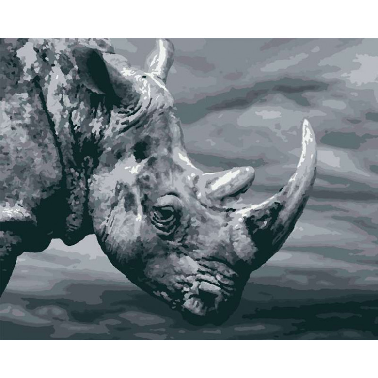 RB-0167 Картина за номерами Носоріг Riviera Blanca