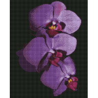 Картина із мозаїки ArtStory Орхідеї (ASM35, На підрамнику)