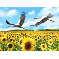 Картина алмазна вишивка ТМ Алмазна мозаіка Соняшникове поле (DMF-426, На підрамнику)