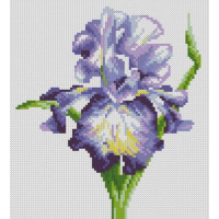 Картина стразами Dream Art Ніжний ірис (23 х 25 см) (DA-31520, Без підрамника)