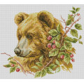Картина стразами Dream Art Коричневий ведмідь (36 х 40 см) (DA-31532, Без підрамника)