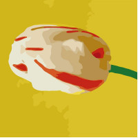 MS14055 Малювання номерів Триптих. Різнокольорові тюльпани Babylon