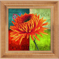 Алмазна вишивка Lasko Астра (5D-056, Без підрамника) Алмазна вишивка Lasko Астра (5D-056, Без підрамника)