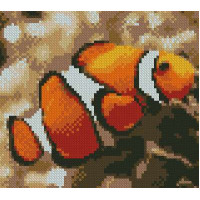 Алмазна мозаїка ТМ Алмазна мозаїка Риба клоун (DM-009, Без підрамника)