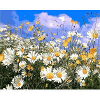 W4367 Картина за номерами Поле ромашок W4367 Картина за номерами Поле ромашок