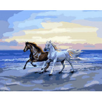 AS0059 Картина за номерами Вітер свободи ArtStory