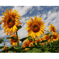 BK-GX8782 Розмальовка на полотні Соняшники на фоні неба (Без коробки) BK-GX8782 Розмальовка на полотні Соняшники на фоні неба (Без коробки)