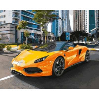 VP1027 Малюнок за цифрами Аррінера Гусарія Babylon