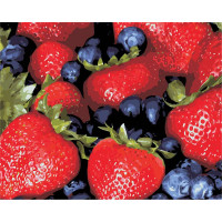 AS0466 Розмальовка за цифрами Соковиті ягоди ArtStory AS0466 Розмальовка за цифрами Соковиті ягоди ArtStory