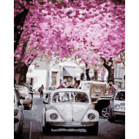 BK-GX31972 Картина за номерами Старий Жук