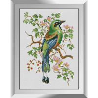 Алмазна мозаїка Dream Art Мотмот (DA-31192, Без підрамника)