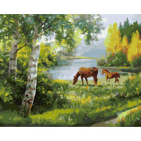 BK-GX34062 Картина за номерами Коні на лузі