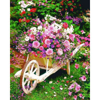 VP1328 Забарвлення за номерами Незвичайний квітник Babylon VP1328 Забарвлення за номерами Незвичайний квітник Babylon