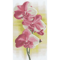 Алмазна вишивкаАлмазна мозаїка Орхідея (DVF1004, Без підрамника)