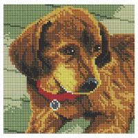 Картина зі страз Алмазна мозаїка Цуценя (DBF017, Без підрамника)