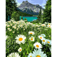 MR-Q2281 Картины по номерам Ромашковое поле в Альпах Mariposa MR-Q2281 Картины по номерам Ромашковое поле в Альпах Mariposa