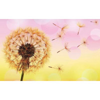 Алмазна вишивка My Art Кульбаба на вітрі (TN1117, На підрамнику)