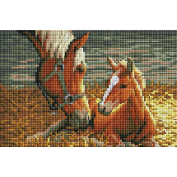 Картина алмазна вишивка ColorArt Коні (CLR-PDT707, На підрамнику)