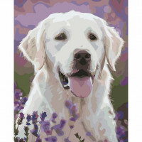 SR-B-SY6116 Картина за номерами Лабрадор у квітковому поліStrateg SR-B-SY6116 Картина за номерами Лабрадор у квітковому поліStrateg