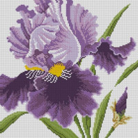 Алмазна мозаїка Dream Art Ірис (35 х 35 см) (DA-31603, Без підрамника)