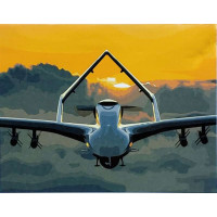 SR-SY6937 Розмальовка за цифрами Байрактар на заході сонцяStrateg