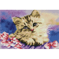 Набір алмазної вишивки Алмазна мозаіка Синьооке кошеня (OSC032, Без підрамника)