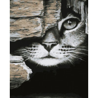 BK-GX45452 Картина за номерами ПідглядачRainbow Art BK-GX45452 Картина за номерами ПідглядачRainbow Art