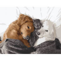 SR-GS408 Картина за номерами Вусата сімейкаStrateg SR-GS408 Картина за номерами Вусата сімейкаStrateg