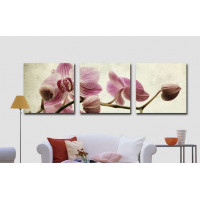 MS14067 Картина за цифрами Триптих. Рожеві орхідеї Babylon MS14067 Картина за цифрами Триптих. Рожеві орхідеї Babylon