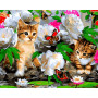 VP463 Картина за номерами Милі котики Babylon