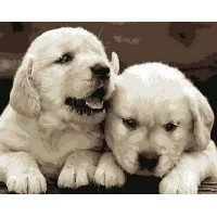 MR-Q743 Картина розмальовка Маленькі лабрадориMariposa MR-Q743 Картина розмальовка Маленькі лабрадориMariposa