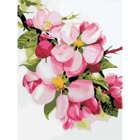 AS0482 Картина розмальовка Яблуневий колір (Без коробки) ArtStory