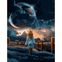 BK-GX34402 Картина за номерами Чарівна ніч