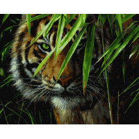 BK-GX7418 Розмальовка за номерами Погляд хижака