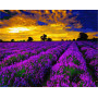 BK-GX3089 Розмальовка за номерами Лавандовий захід сонця