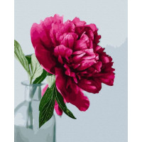 BK-GX43741 Картина за номерами Запашна півоніяRainbow Art