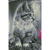 Картина стразами Алмазна мозаіка Сіре чудо (OSC025, Без підрамника)