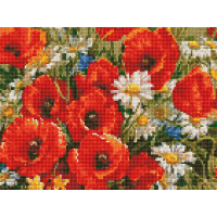 Алмазна живопис Rainbow Art Польовий букет (EJ1399, На підрамнику)