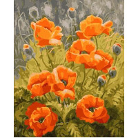 SW023 Забарвлення за номерами Польові маки Babylon SW023 Забарвлення за номерами Польові маки Babylon