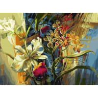 VP100 Розмальовки за номерами Ніжні орхідеї Babylon VP100 Розмальовки за номерами Ніжні орхідеї Babylon