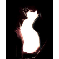 VP1106 Картина за номерами Домашні улюбленці Кішка Babylon VP1106 Картина за номерами Домашні улюбленці Кішка Babylon