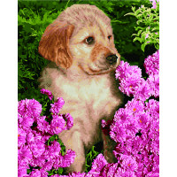 GZS1033 Алмазна картина Цуценя лабрадора Rainbow Art GZS1033 Алмазна картина Цуценя лабрадора Rainbow Art