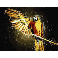 AS0835 Картина за номерами Помах крил ArtStory