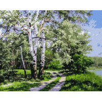 BK-GX7487 Картина за номерами Рідні берізки